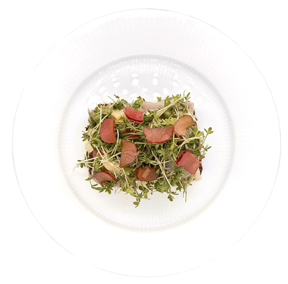 Hyldeblomst sild - Forudbestilling