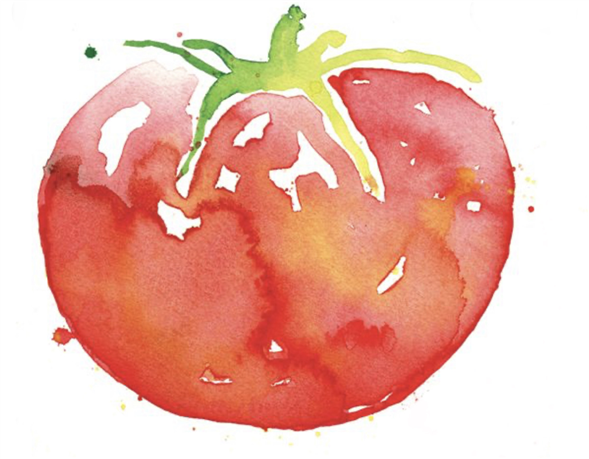 Tomat - Forudbestilling