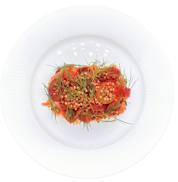 Rejer - Forudbestilling